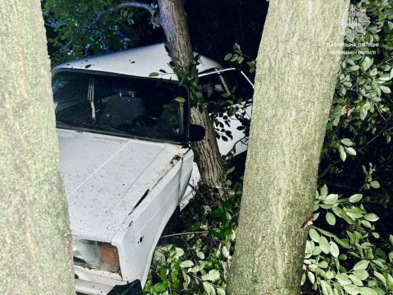 У Запоріжжі легкове авто влетіло у дерево: винуватець ДТП перебував у стані сп'яніння