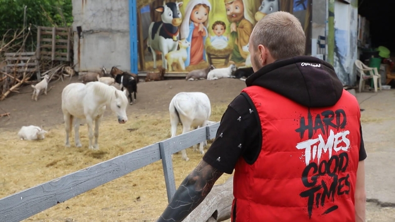 Волонтери евакуювали коней із Харківщини у Кропивницький. Тварини допомагатимуть із відновленням захисникам (ФОТО)